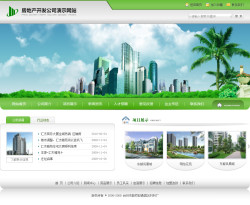 房地产开发公司网站
